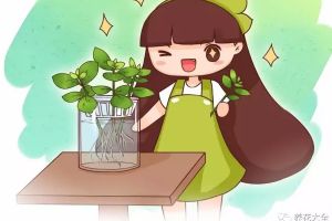 掐根枝扔水里，生根快，瘋長起來攔不住！