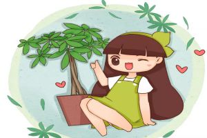 發(fā)財樹燙了個“波浪卷”，再不管，就離死不遠了！