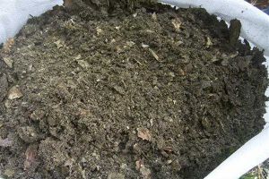 養(yǎng)花別再買土了，出門隨便刨點(diǎn)就夠了，好用又省錢！