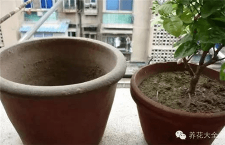 準備花盆