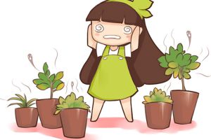 這幾個養(yǎng)花小妙招，我只偷偷告訴你