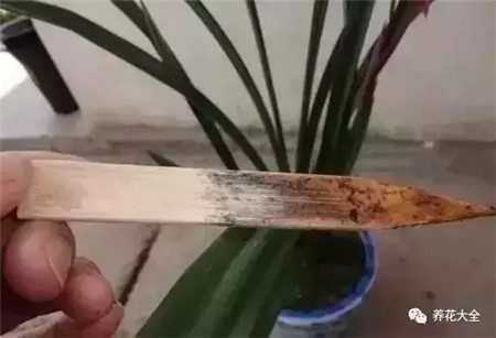 木測(cè)法