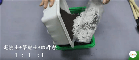 第一步：準(zhǔn)備土壤。