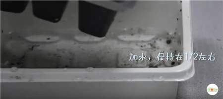 第三步：加水。