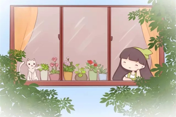 沒陽臺(tái)就不能養(yǎng)花？小盆栽美過大花園