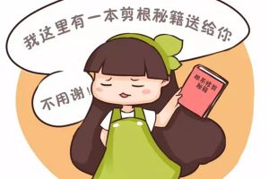 多肉和發(fā)財(cái)樹爛根？別扔，剪就可以