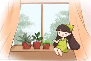 養(yǎng)花不能太勤快，吊蘭綠蘿…越賤養(yǎng)越爆盆