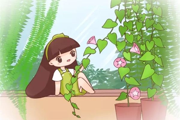 不用3個月，就能種出個牽牛花窗簾