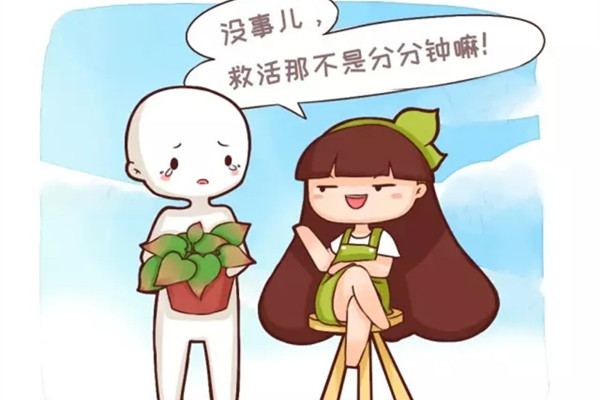 快死的綠蘿別扔，1分鐘讓它起死回生