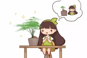 吊蘭文竹發(fā)財樹...總是黃葉？學會這幾招，養(yǎng)10年都不黃葉