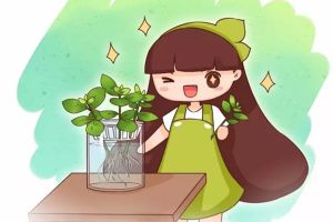 掐根枝扔水里，奇跡發(fā)生了