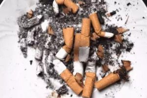 抽完的煙頭不要丟，養(yǎng)花去污殺蚊蟲，99％的人不知道！