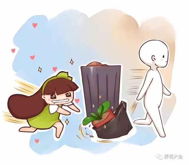 別人扔花老婆撿花，養(yǎng)到爆盆也是服氣