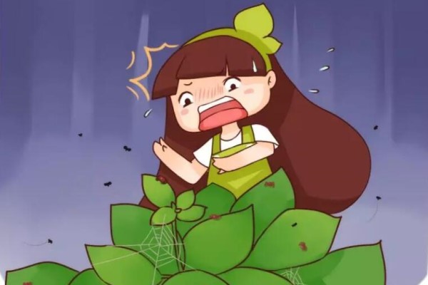 泡沫板套盆上，放水一沖，蟲子全死光！