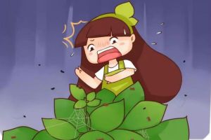 盆里這些蟲，再不趕跑，花立馬就死！