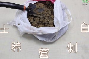 自制營(yíng)養(yǎng)土視頻：這三種生活垃圾，可以制作營(yíng)養(yǎng)土