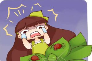 隨手撒把灰，蟲子全死光，花猛躥狂長開爆盆!