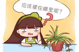 養(yǎng)了幾十年花，位置沒(méi)放對(duì)，白瞎了