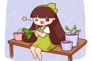 路邊的煤渣鋸末，拿來扦插，分分鐘生根