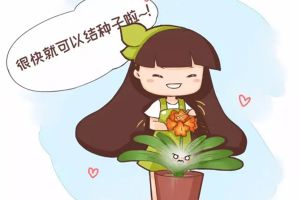 花草不用花錢買！只要給她做點(diǎn)羞羞的事