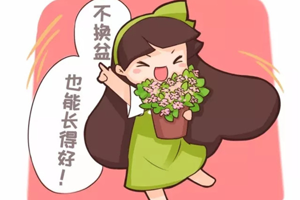 他養(yǎng)花十年沒換過盆，年年花開滿枝，只因?yàn)樽隽诉@個(gè)
