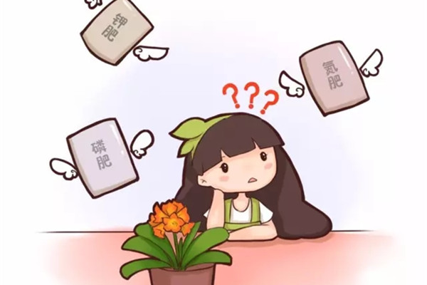 養(yǎng)花光知道澆水，那你的花離死不遠(yuǎn)了