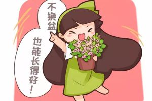 他養(yǎng)花十年沒換過盆，年年花開滿枝，只因為做了這個