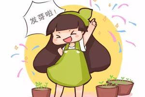 學(xué)會這種方法，啥花都能種活