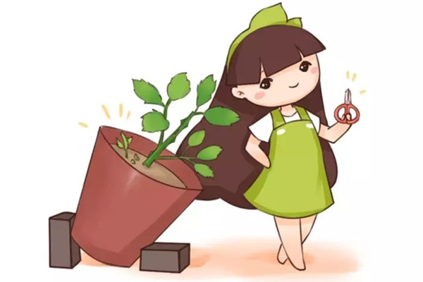 只要剪刀咔咔響，你的花就蹭蹭長