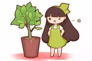 自制生根水太麻煩？這么做分分鐘生根