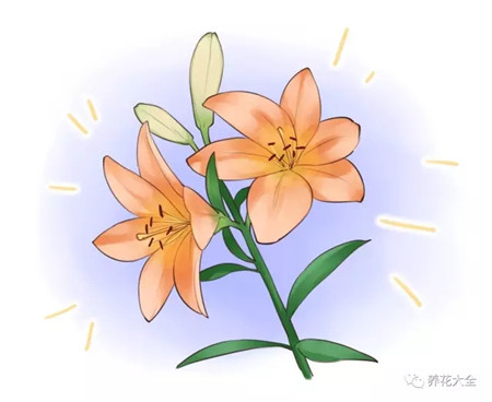 等待開(kāi)花