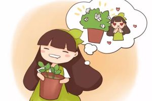 這5種花掐個(gè)枝就能活，一盆變多盆，太省錢了
