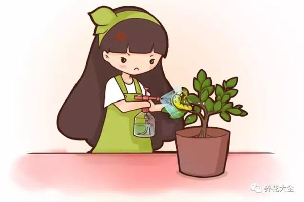 15種病蟲害藥物，在家就能做，再也不怕蟲害了