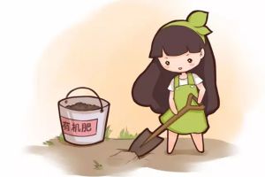 土里扔點(diǎn)兒這個(gè)，不施肥花也長得蹭蹭的