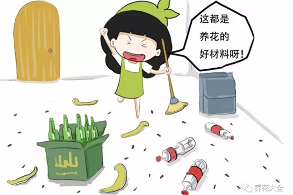 警惕！過年這些垃圾別扔！養(yǎng)花呀