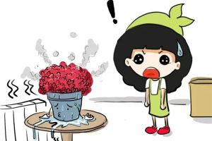 你隨手一個小動作，就會把花害死