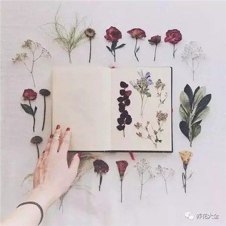 花的選擇