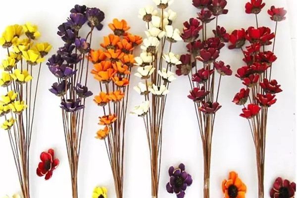 學(xué)會(huì)了這一招，你的花就會(huì)永遠(yuǎn)綻放！