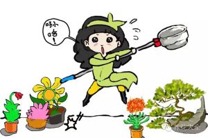 你花那么多錢養(yǎng)花，他一個塑料瓶就解決了