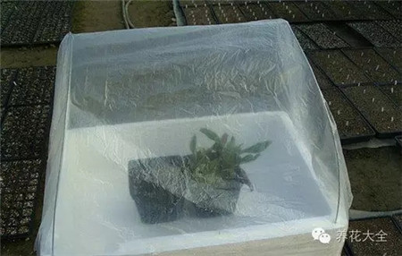 第5步