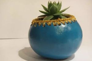 用葫蘆來(lái)種花，大神好創(chuàng)意