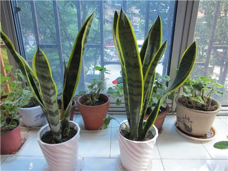 陰暗處