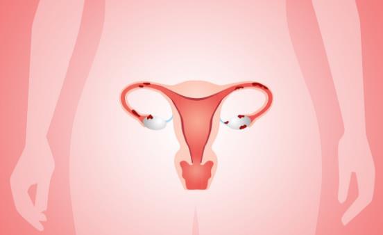 女人宮寒危害多多 推薦幾款調理宮寒的食物