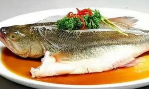 鱸魚不宜和什么一起吃？怎么辨別鱸魚好不好