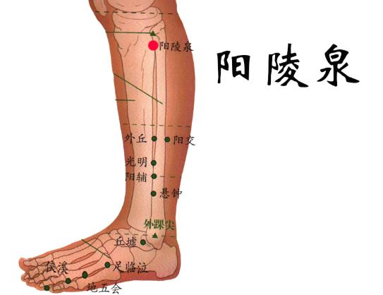 按摩陽(yáng)陵泉穴有什么好處？陽(yáng)陵泉一天按幾次