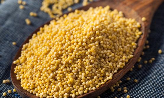 吃小米有哪些好處？吃小米要注意什么？