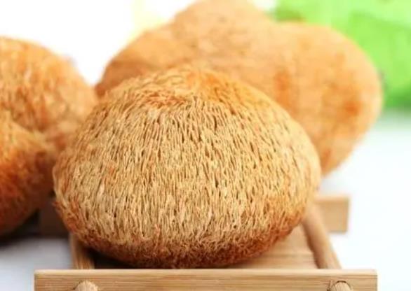 猴頭菇真的能夠養(yǎng)胃嗎？吃干猴頭菇的好處是什么