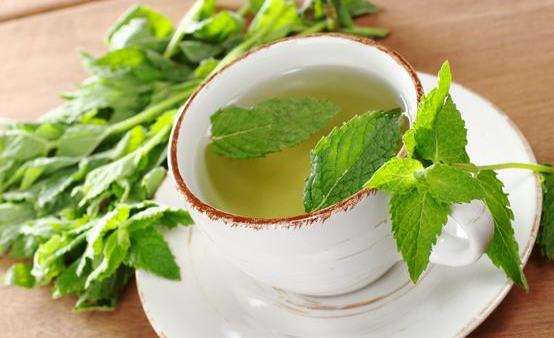 薄荷草泡水喝有什么功效？薄荷泡水喝有哪些禁忌？