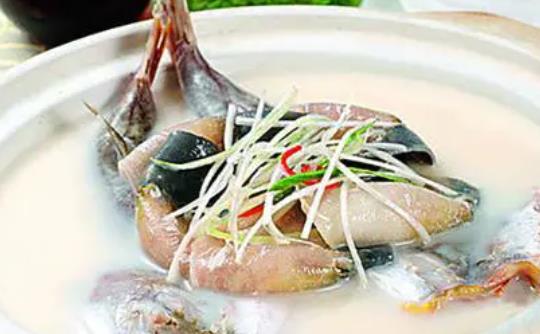 河豚怎么處理才沒毒 ？吃河豚要注意些什么？