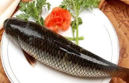 草魚魚油有什么功效與作用？草魚魚油怎么做好吃？
